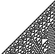 Cellular Automata Coarse Grainer and Grower